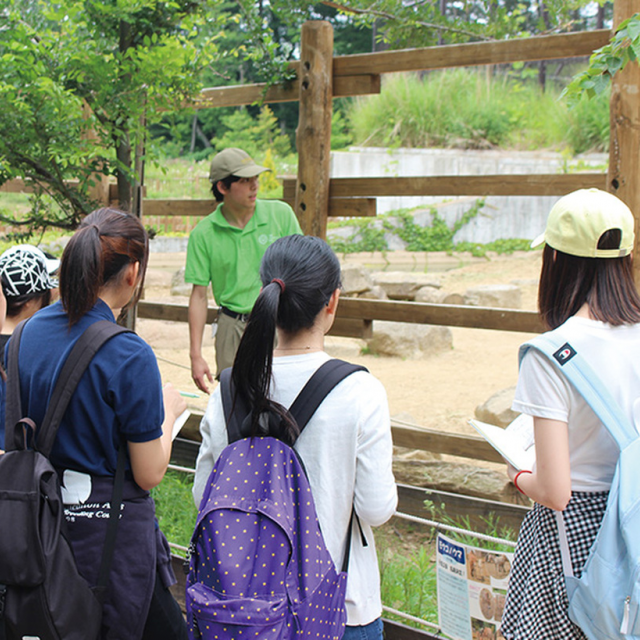 東京コミュニケーションアート専門学校 動物とふれあいながら、 野生動物の保護や管理について学ぼう!1