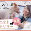 ＴＣＡ東京ＥＣＯ動物海洋専門学校 【プロへの第一歩！】ペットトリマーお仕事体験