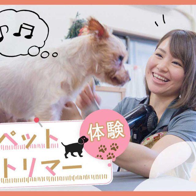 ＴＣＡ東京ＥＣＯ動物海洋専門学校 【プロへの第一歩！】ペットトリマーお仕事体験1
