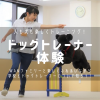 国際ペットワールド専門学校 【人も犬も楽しみながら学ぶ】ドッグトレーナー体験！