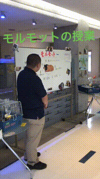 OCカメラサムネイル画像