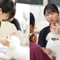 専門学校　福岡ビジョナリーアーツ 【ペット】【看護】よくばりお仕事体験 トリマー×動物看護師