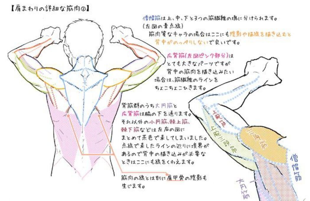 サブ画像