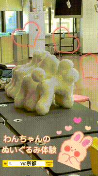 OCカメラサムネイル画像