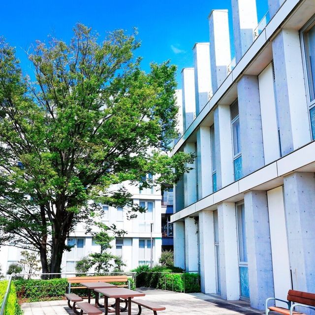 千葉市青葉看護専門学校 学校説明会20261