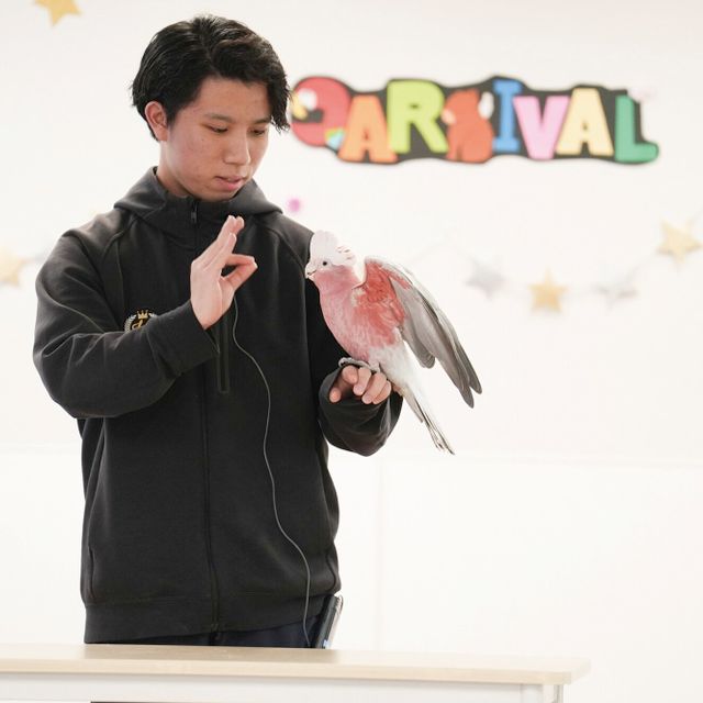 専門学校ビジョナリーアーツ エキゾチックアニマルショーに挑戦！1