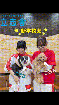 OCカメラサムネイル画像