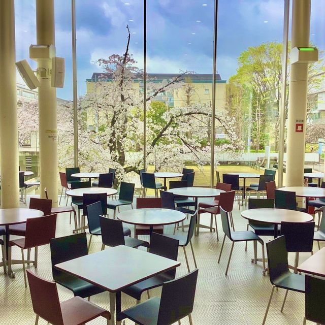 東京都市大学 新高校3、2年生向け理工系特化型イベント（予約制・先着順）4