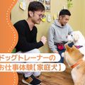 大阪ＥＣＯ動物海洋専門学校 ドッグトレーナー体験（家庭犬）