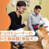 ドッグトレーナー体験（家庭犬）の詳細