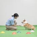 沖縄ペットワールド専門学校 動物のプロを目指そう。オープンキャンパス