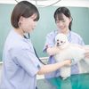 東京愛犬専門学校 動物看護学科　トータルケアのできる人材を育てる学校の体験入学