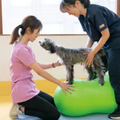 専門学校ビジョナリーアーツ ワンコと一緒に理学療法を知ろう！