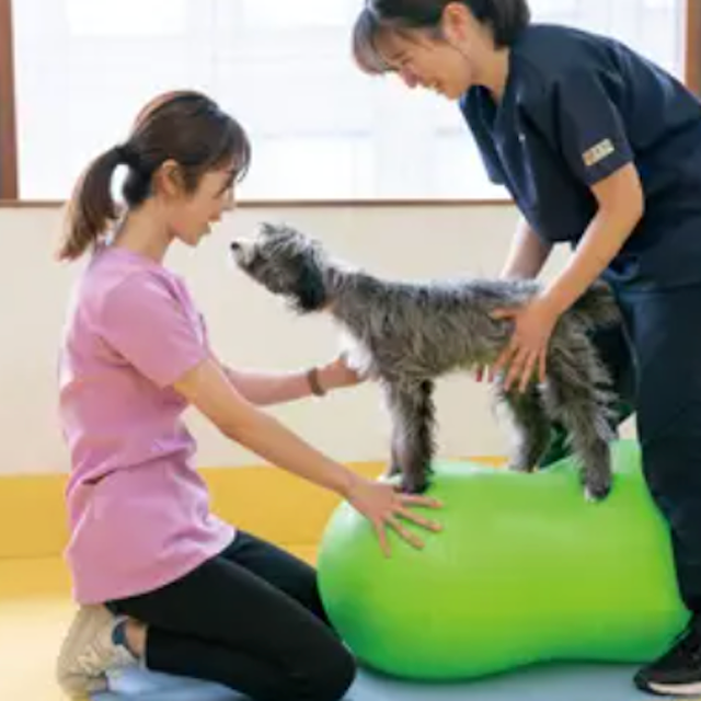 専門学校ビジョナリーアーツ ワンコと一緒に理学療法を知ろう！1