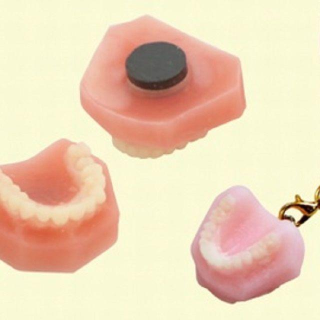 【初めての方はこちら】歯科材料を使ってものづくり&CAD入門