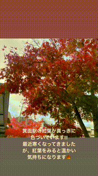 OCカメラサムネイル画像