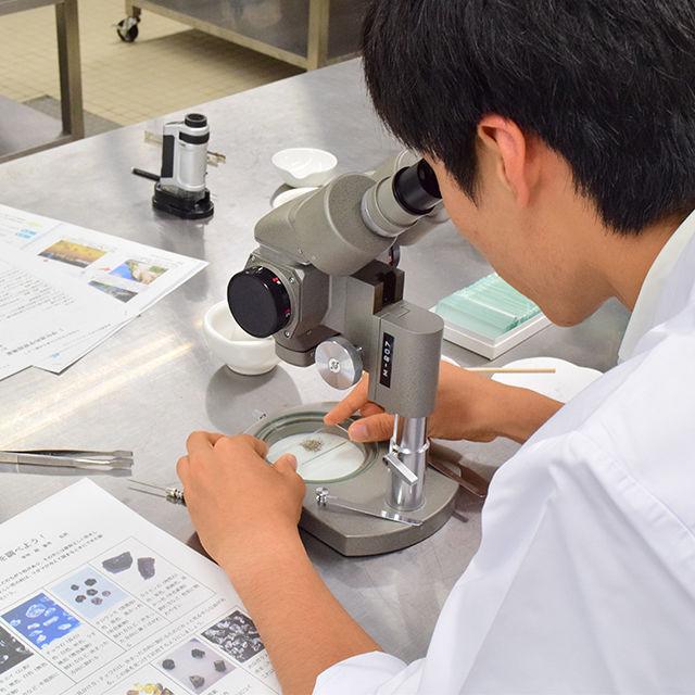 新潟薬科大学 【植物からDNAをとりだそう】オープンキャンパス20191