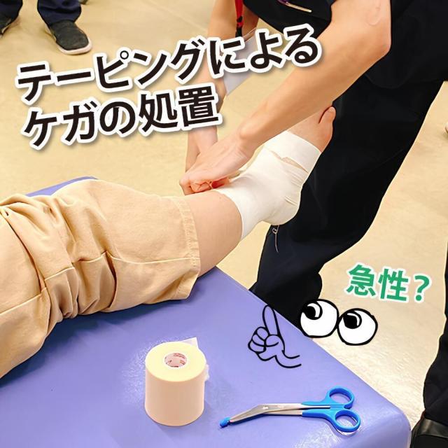 札幌青葉鍼灸柔整専門学校 11/1＜スポーツ×医療職＞スポーツボディケアを体験1