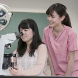 動物看護学科　資格取得のほか動物医療を深く学ぶ学校の体験入学の詳細