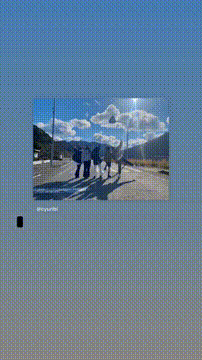 OCカメラサムネイル画像