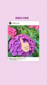 OCカメラサムネイル画像