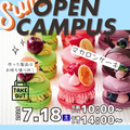 【洋菓子】マカロンケーキ／国際製菓専門学校