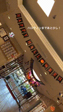 OCカメラサムネイル画像