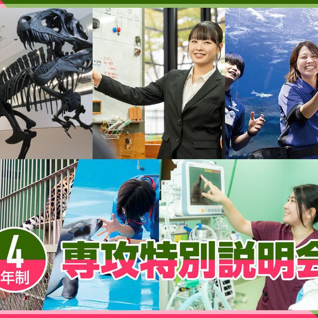 ＴＣＡ東京ＥＣＯ動物海洋専門学校 4年制専攻特別説明会1