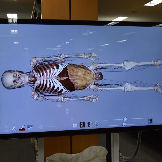 新宿医療専門学校 美容鍼灸で、ハリつやチャージ！4