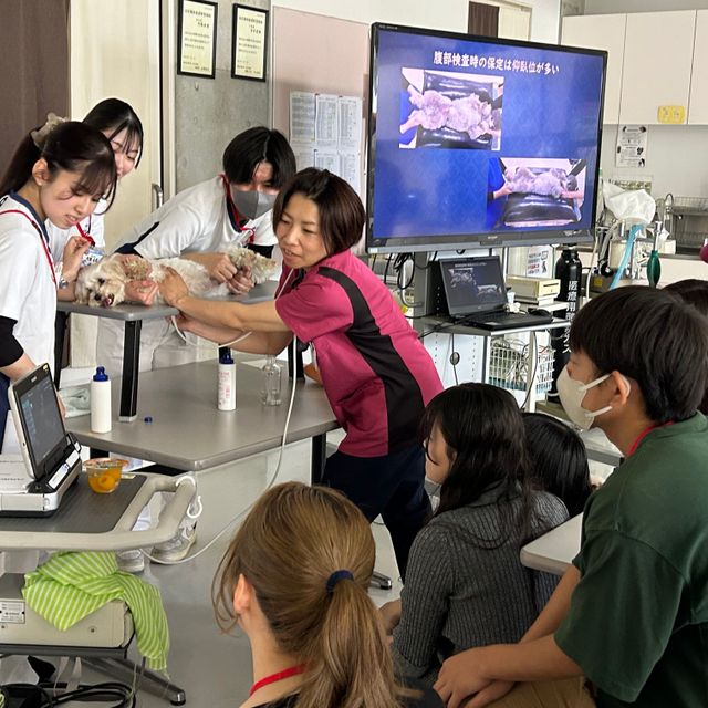 専門学校　ちば愛犬動物フラワー学園 【動物看護】国家試験にも出題！心臓について学ぼう1