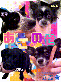 OCカメラサムネイル画像