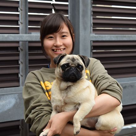 在校生レポート画像