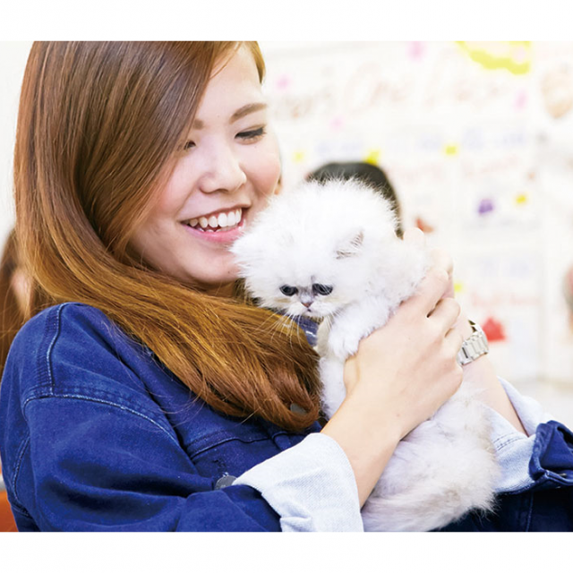 大阪ビジネスカレッジ専門学校 猫ちゃんのヒミツが知れるかも…猫博士になろう!1