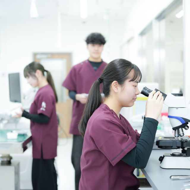 高崎動物専門学校 【動物看護】動物検査学実践編！検査サンプルを作ってみよう1
