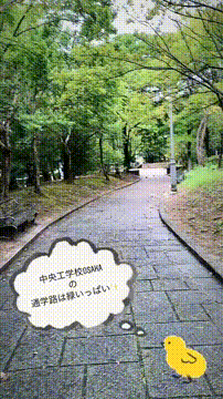 OCカメラサムネイル画像