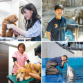 大阪ＥＣＯ動物海洋専門学校 就職保護者会