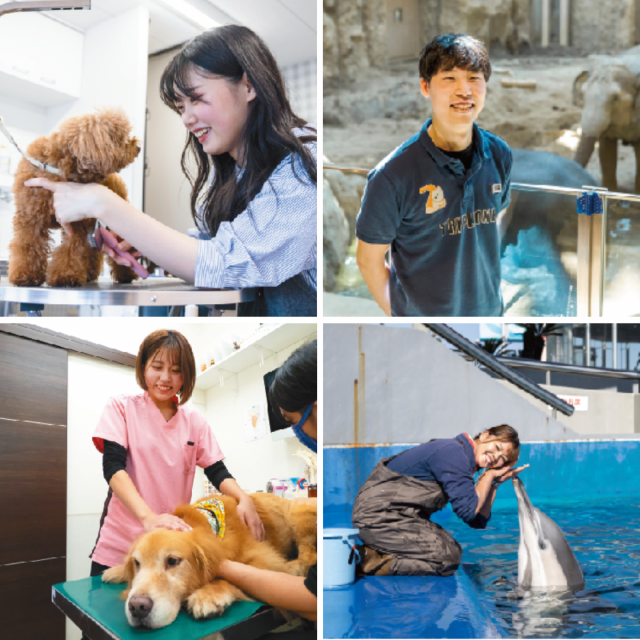 大阪ＥＣＯ動物海洋専門学校 就職保護者会1