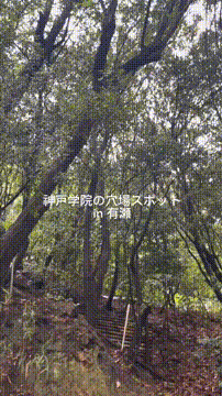 OCカメラサムネイル画像