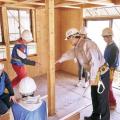日本工学院八王子専門学校 建てるってこういうこと！リアルサイズ木造体験