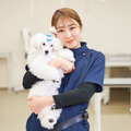 専門学校岡山ビジネスカレッジ メディカルトリマー学科｜学園犬の健康管理とお手入れを体験♪