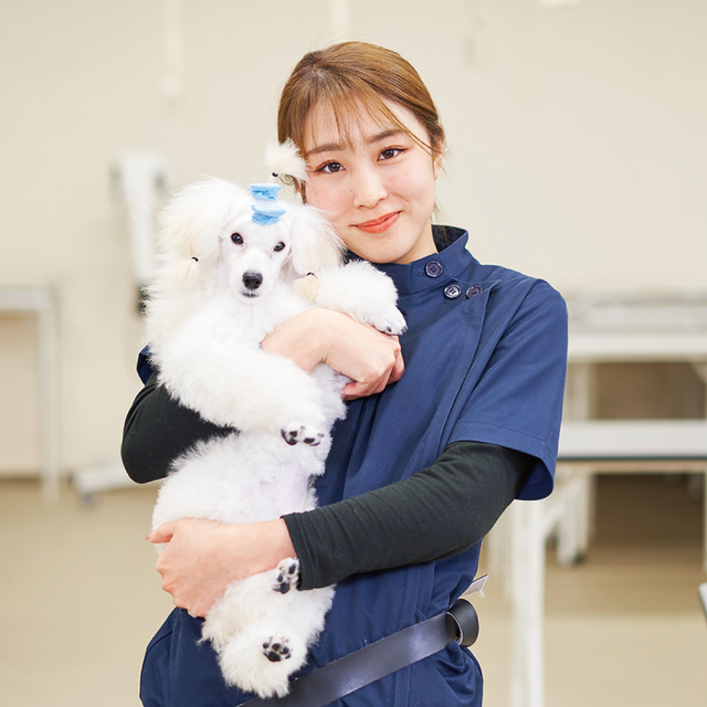専門学校岡山ビジネスカレッジ メディカルトリマー学科｜学園犬の健康管理とお手入れを体験♪1