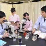 詳細を見る