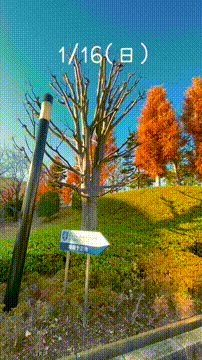 OCカメラサムネイル画像