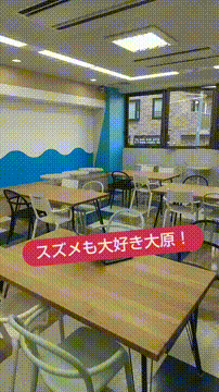 OCカメラサムネイル画像