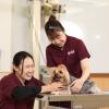吉田学園動物看護専門学校 人気メニュー再登場！どうぶつリハビリ体験！
