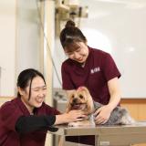 人気メニュー再登場！どうぶつリハビリ体験！の詳細