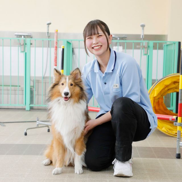 大宮国際動物専門学校 学校説明会（全ての学科を体験できる日）4