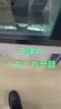 OCカメラサムネイル画像