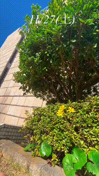 OCカメラサムネイル画像