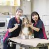 札幌デジタル＆どうぶつ・医療・観光専門学校 【来校型】オープンキャンパス《愛玩動物看護学科》